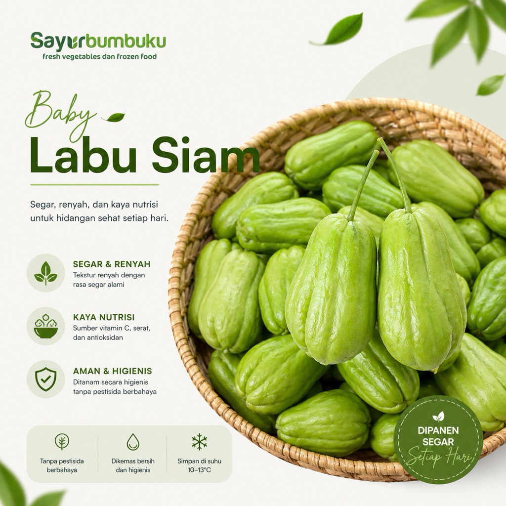 Baby labu siam | Labu siam mini 200g | sayurbumbuku
