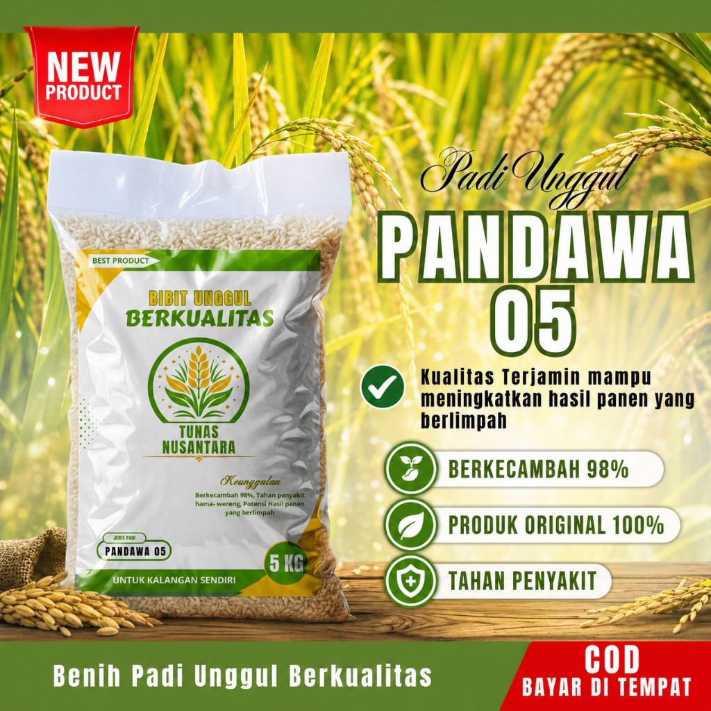 Benih padi unggul PANDAWA P05 kemasan 5kg original padi unggul berkualitas