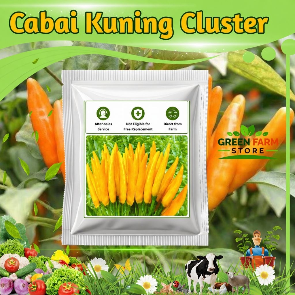 Benih Cabai Kuning Cluster Import (50 biji)