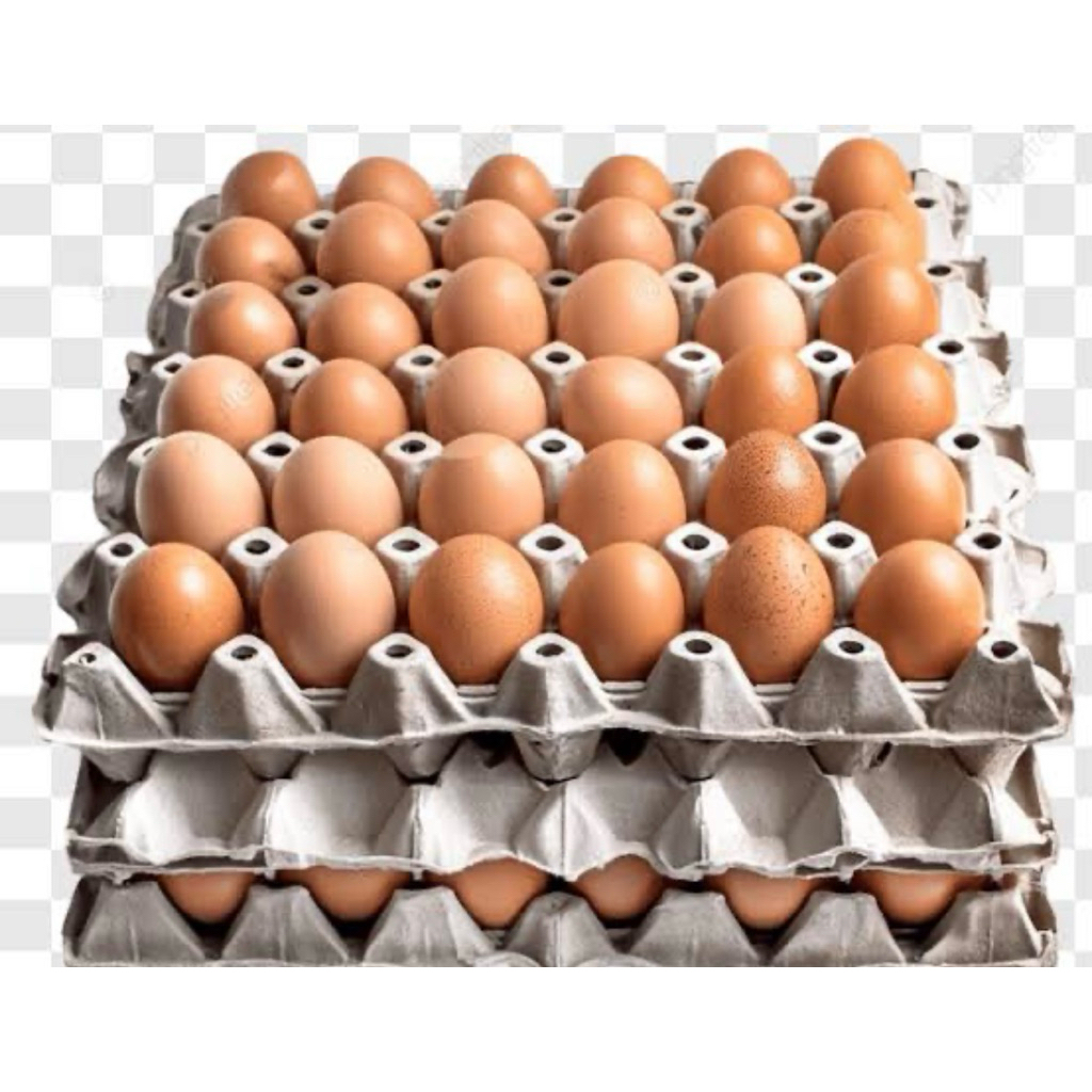 telur ayam negeri 1kg