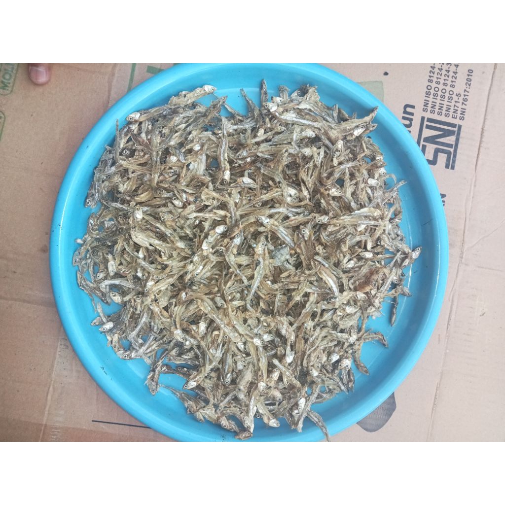 ikan teri besar tawar