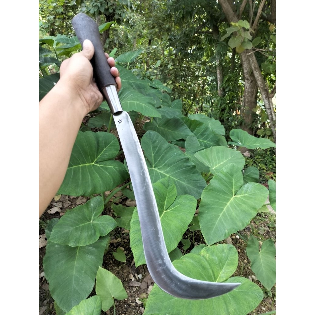 GORIT/PelongGalahPemetikSawit