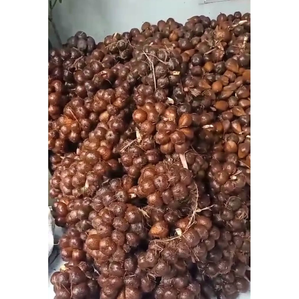 salak pondoh asli Banjarnegara,,salak manis 1kg salak super