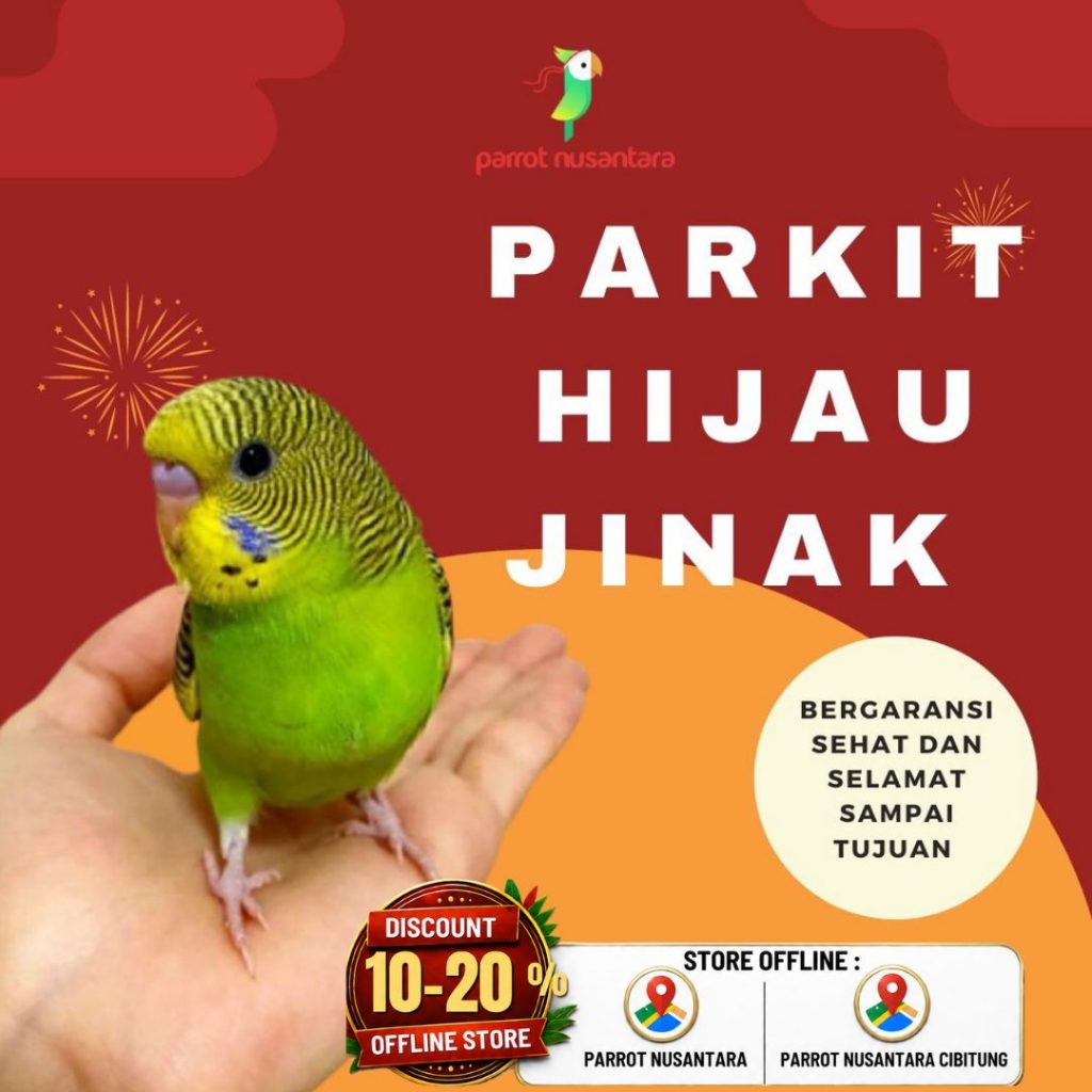 parkit jinak hijau