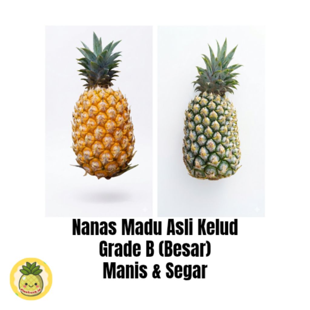 Nanas Madu Kelud Ukuran B Asli Gunung Kelud|Buah Nanas Manis Segar |Fresh Petik