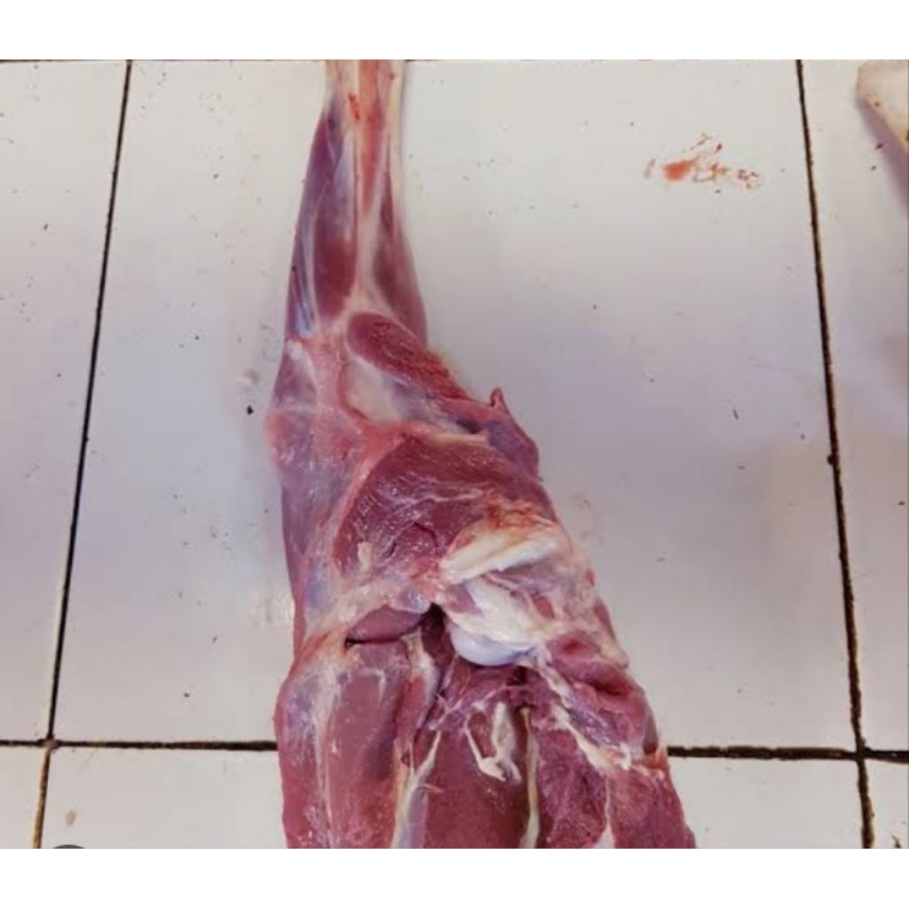 paha kambing muda segar fresh utuh termurah