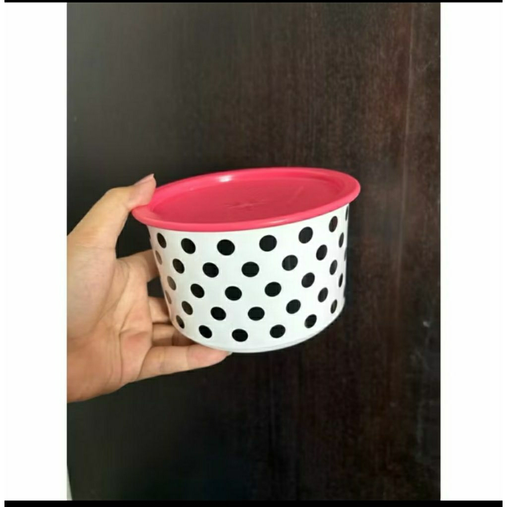 Polkadot canister