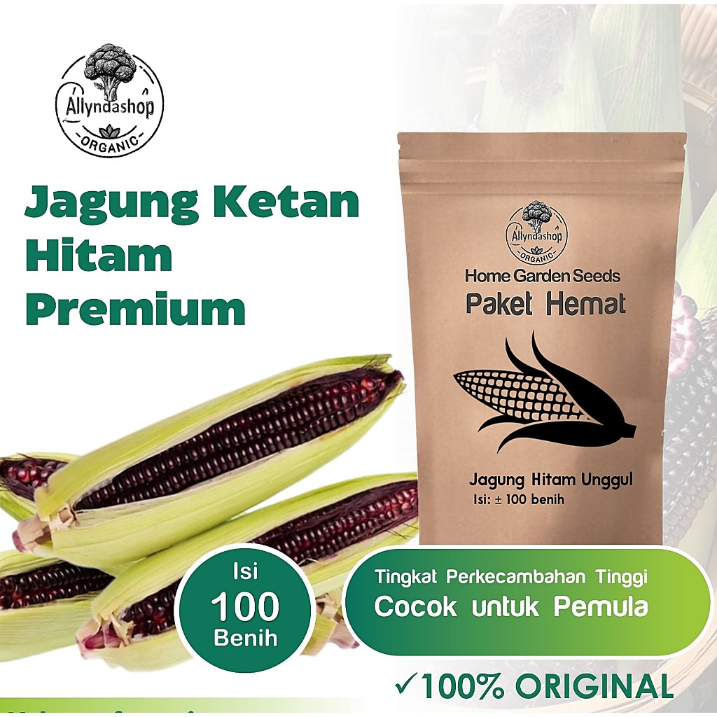 Bibit Benih Jagung Ketan Hitam Unggul Original Daya Tumbuh Tinggi