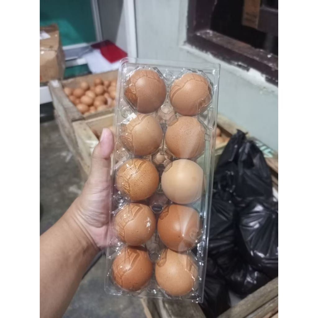 Telur Ayam Kemasan Mika Isi 10 MALANG KOTA