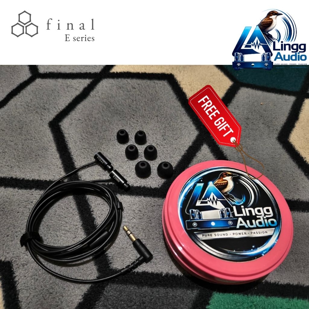 IEM Final Audio E2000 earphone Final Audio Type E