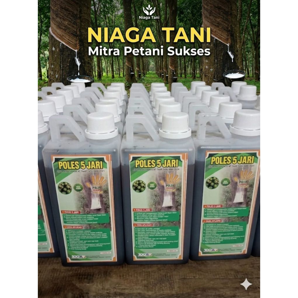 poc poles 5 jari original vitamin pohon karet