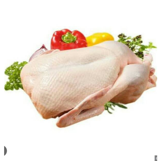 Bebek Beku Fresh Frozen - Toko Daging Nusantara
