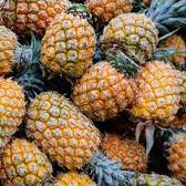 Nanas Kelud Kediri | AYAM AYAMKU