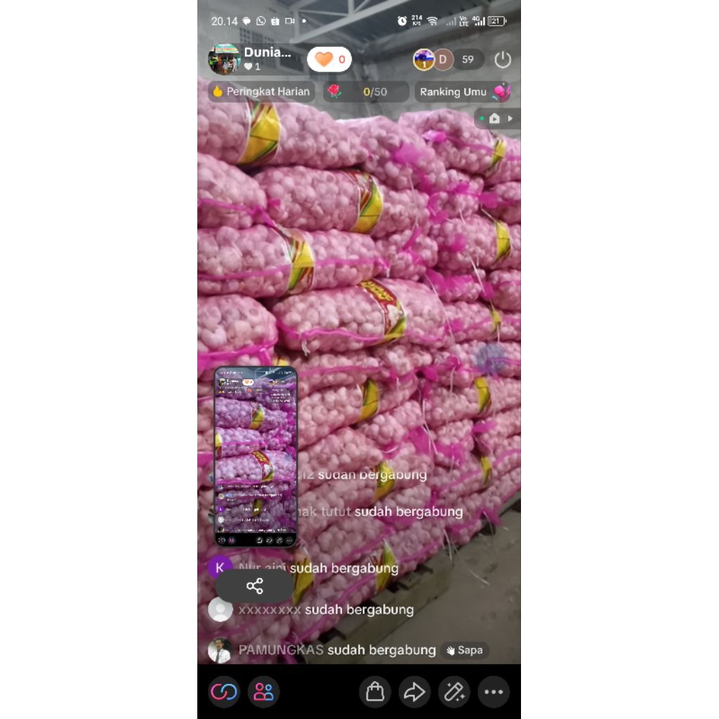 Bawang Putih kotor