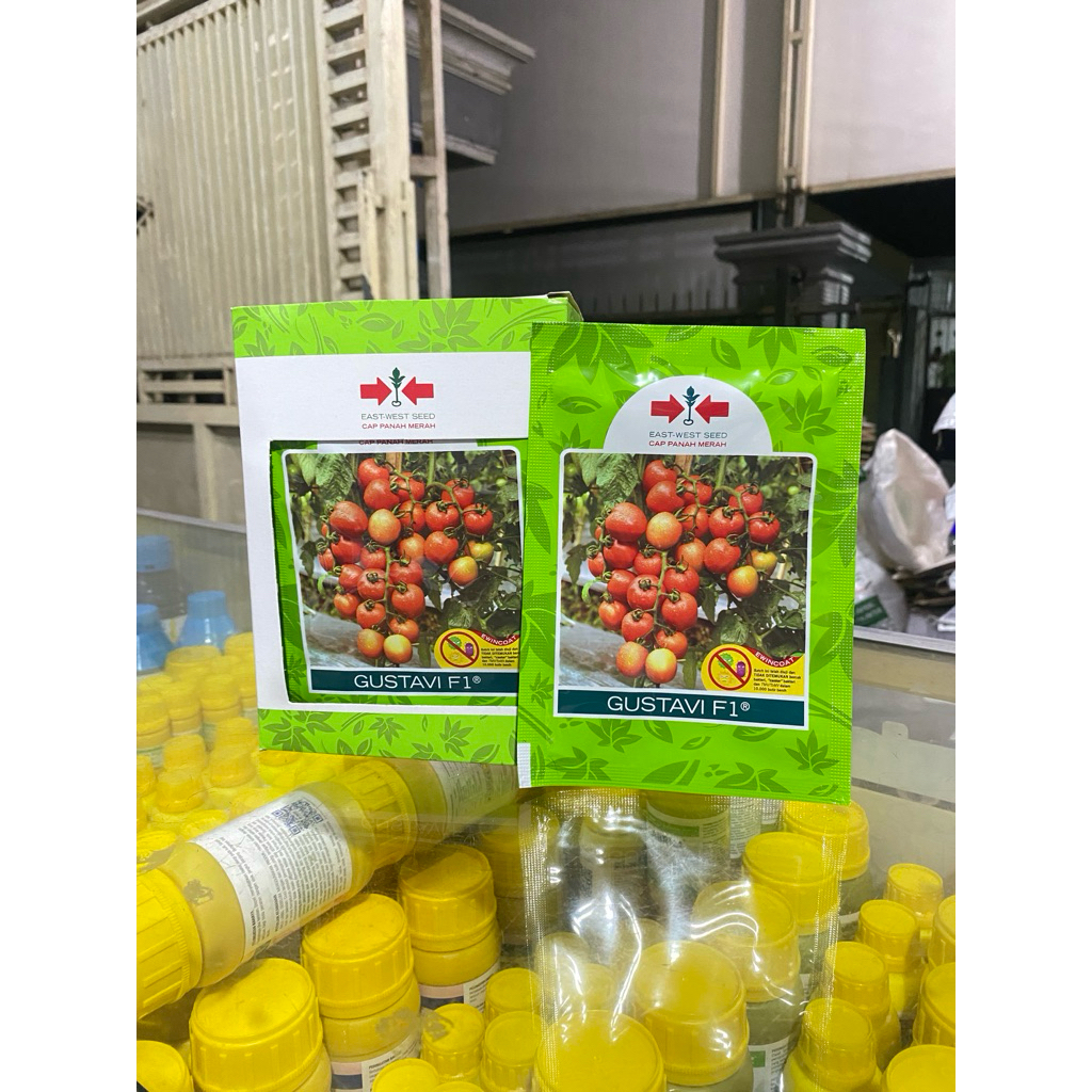 Benih Tomat GUSTAVI F1 Cap Panah Merah