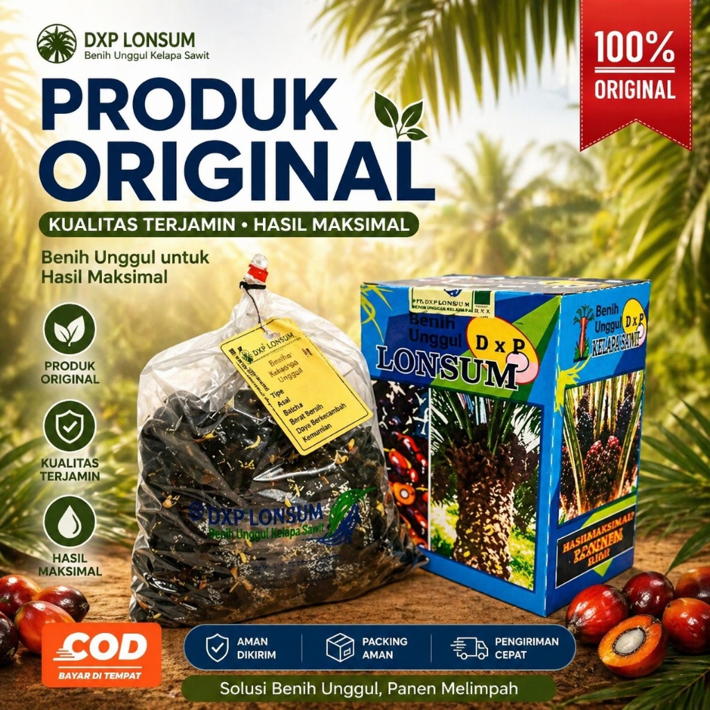 Bibit Kecambah Kelapa Sawit Unggul I LONSUM Original | 100% Bersertifikat Resmi I isi 250 Butir Siap