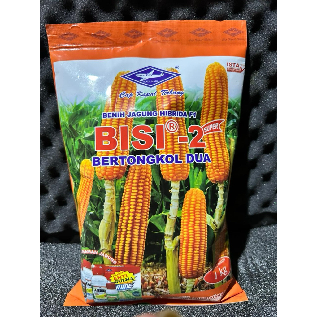 Benih jagung hibrida bisi 2 original produk || bibit jagung bisi 2 tongkol 2