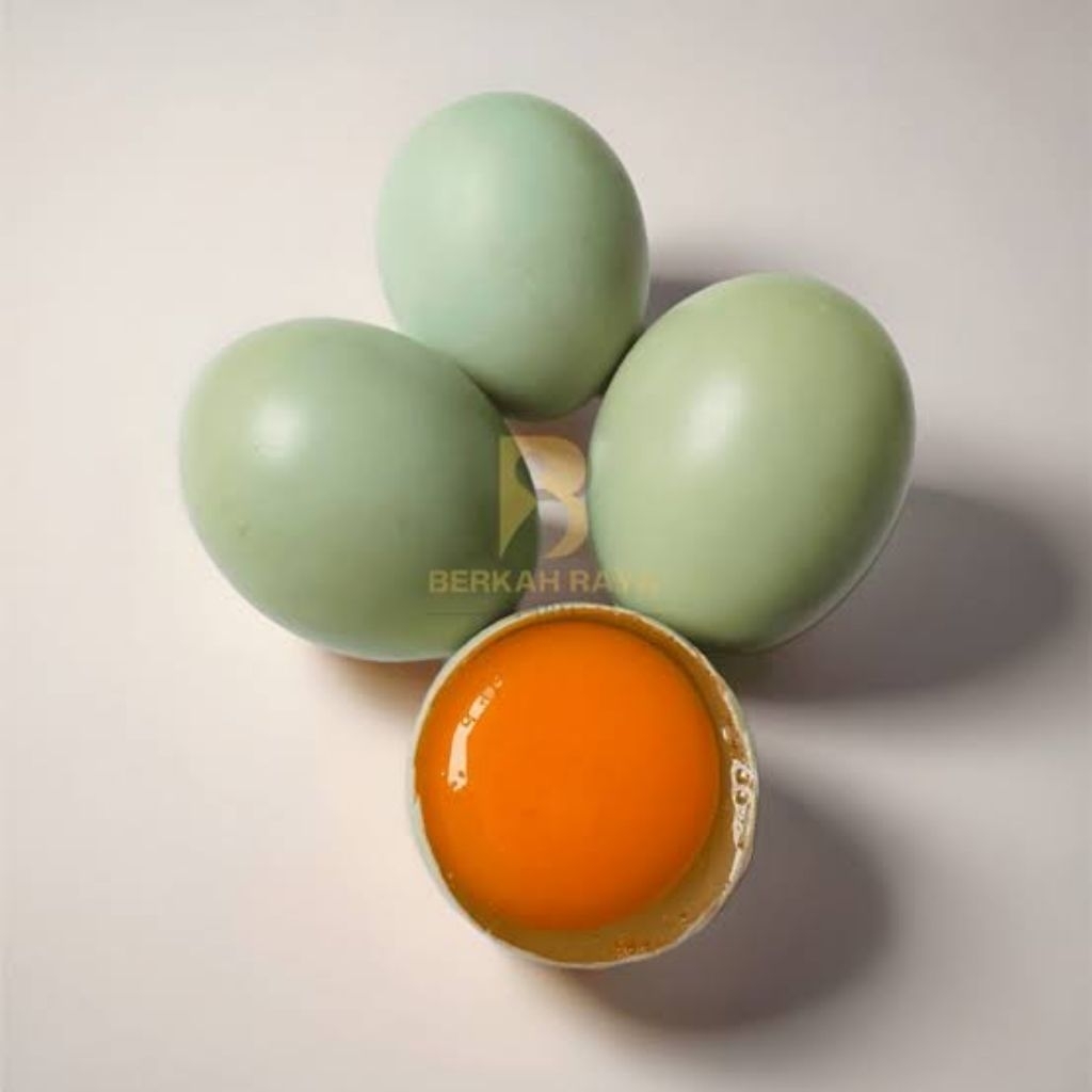 Telur Bebek Mentah Segar dengan Kuning Telur Omega Orange