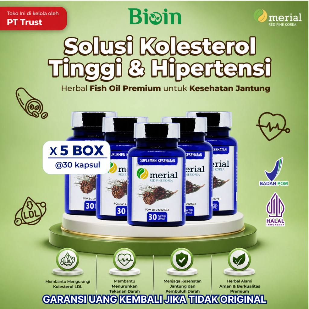 MERIAL RED PINE KOREA 5 BOX - ULTIMATE PACKAGE