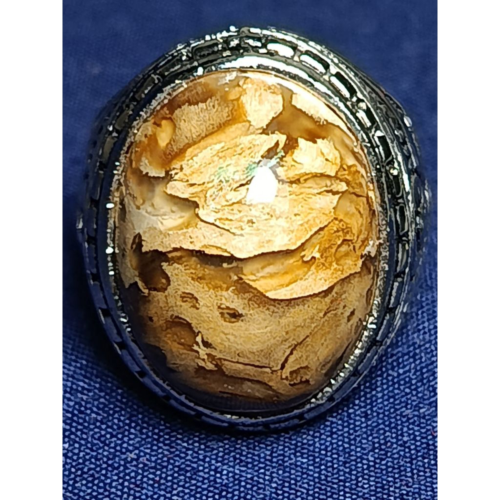 Natural Asem Petrified Wood, SCALE / Batu Fosil Kayu Asem, SISIK