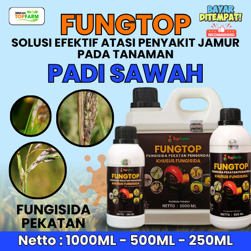 Obat Jamur Padi / Obat Bercak Daun Padi / Obat Busuk Batang Dan Bulir Padi / Obat Jamur Padi Paling 