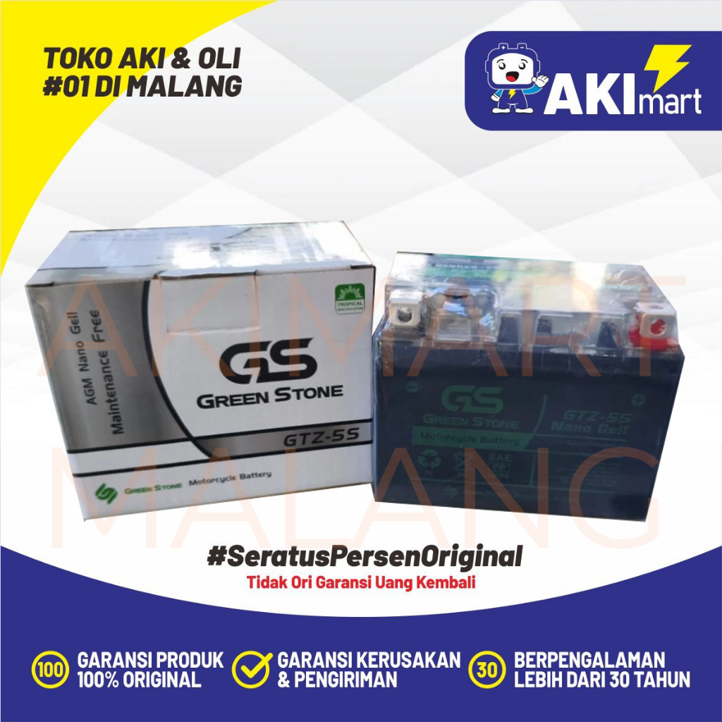 GS Green Stone GTZ5S Aki Motor