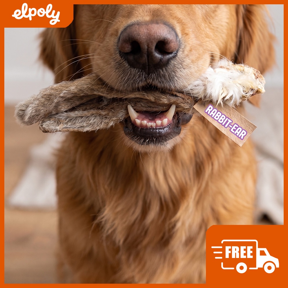 WG - Snack Anjing Telinga Kelinci | Rabbit Ear | Dog Snack | Tanpa Pengawet