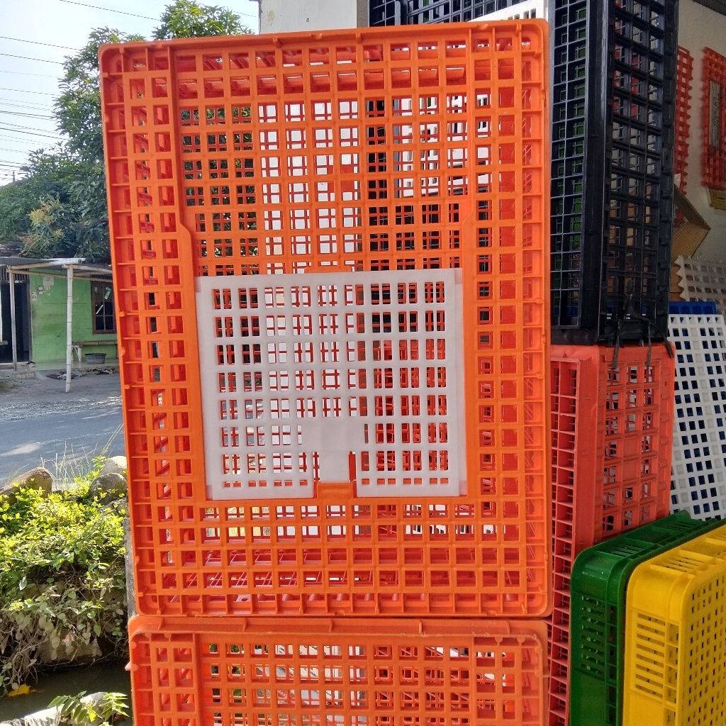KERANJANG AYAM KECIL  MEDION WARNA OREN