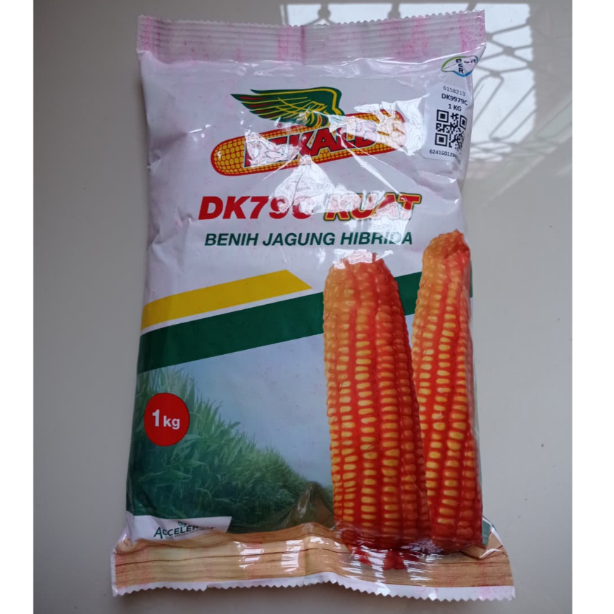 Benih Jagung Dekalb DK79C Kemasan 1 Kg