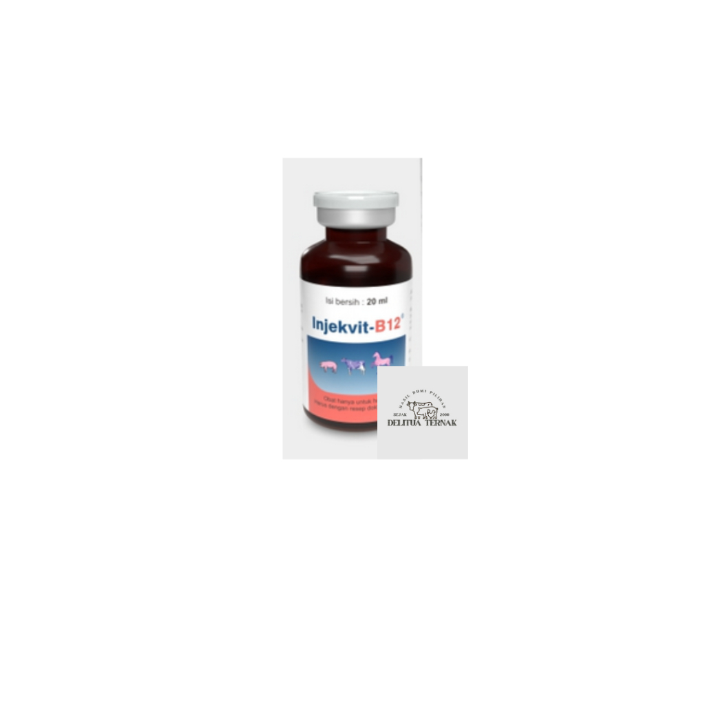 Injekvit B12 Obat Suntik Vitamin B12 20ml untuk Hewan Ternak - Tingkatkan Nafsu Makan dan Perbaiki K
