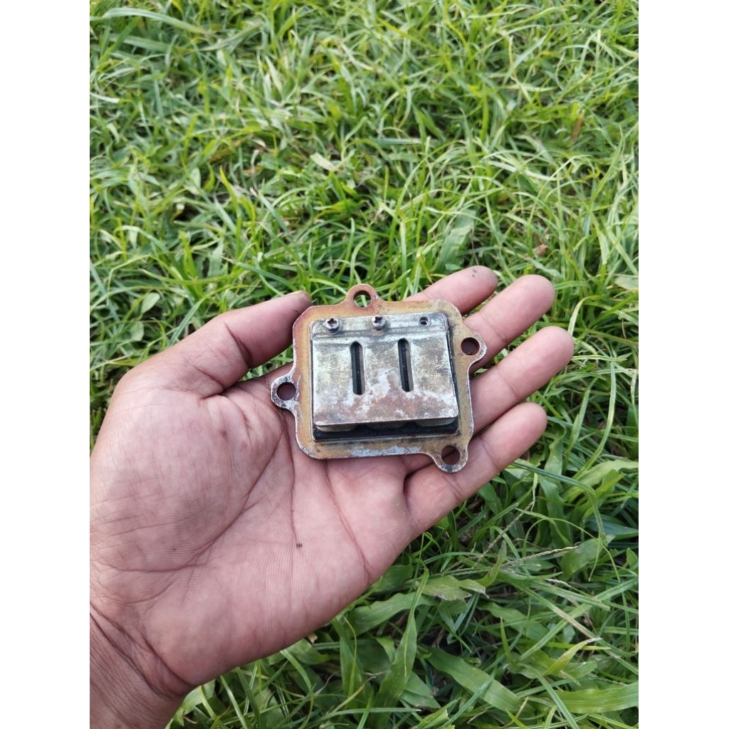 membran original Yamaha fiz fiz r force 1