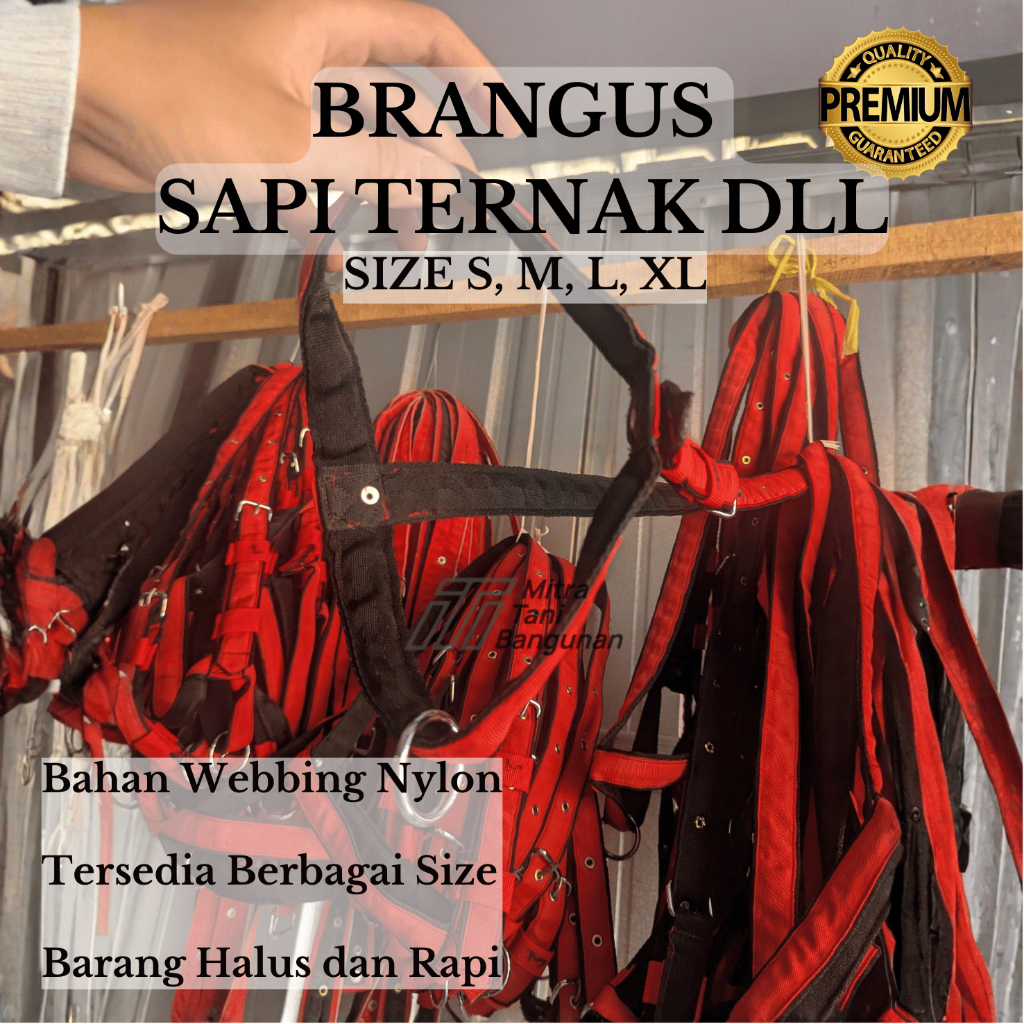Brangus / Head Halter / Ikat Kepala Ternak – Sapi, Kuda, Kambing (Webbing Nylon Tebal)