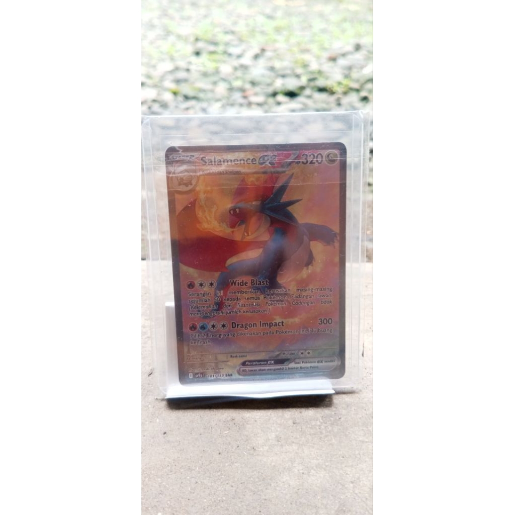 SAR/salamence/Indonesia