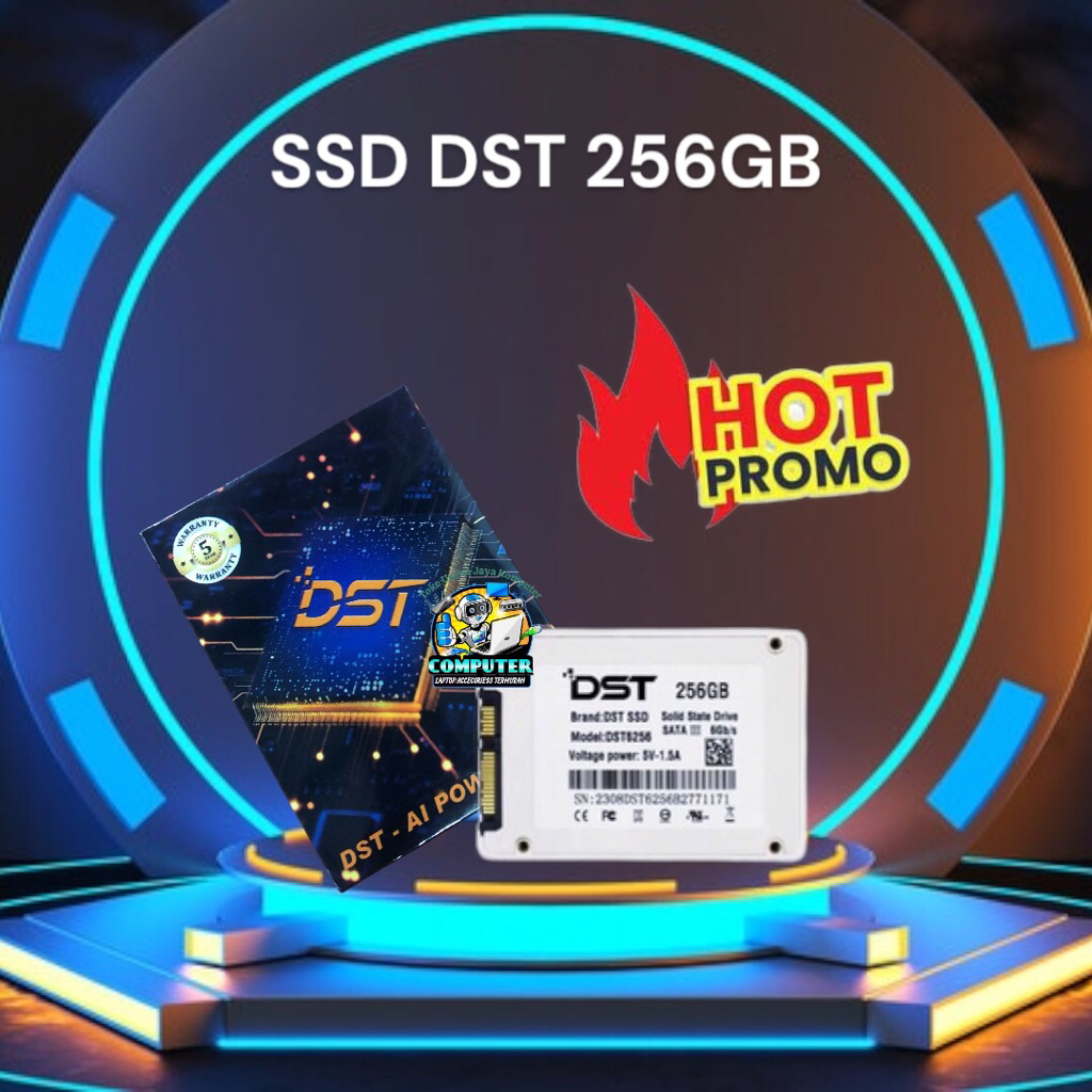 SSD DST 256GB SATA III