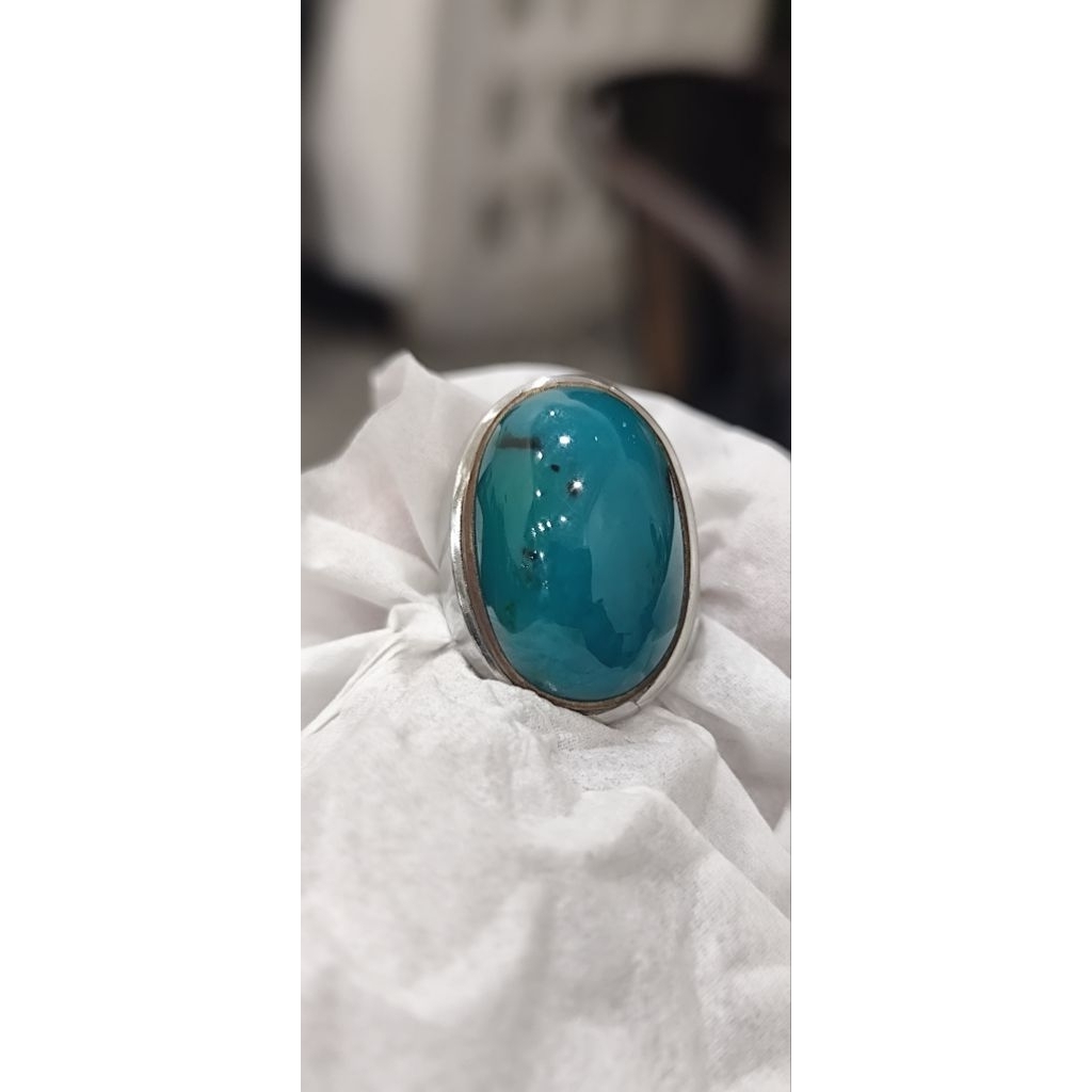 Bacan Palamea