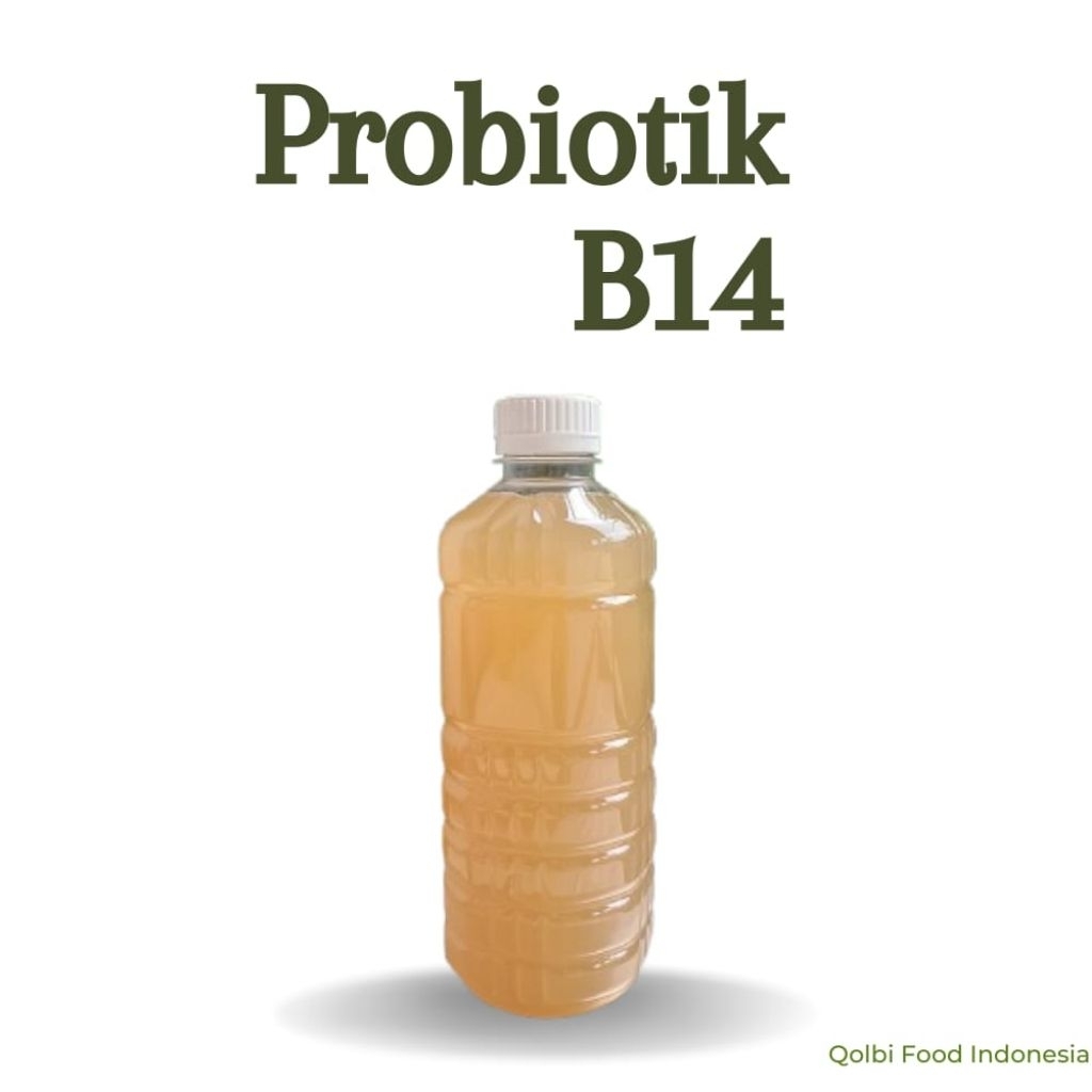 Probiotik B14 Asli Prof Sukardi meningkatkan sistem antibodi Kemasan 500ml