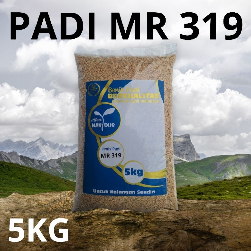 BIBIT | BENIH PADI MR 319 KEMASAN 5KG