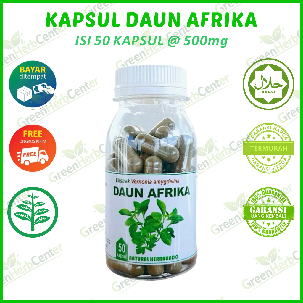 Daun afrika isi 50 kapsul herbal stroke obat stroke jamu kolesterol hipertensi kebas kesemutan mati 