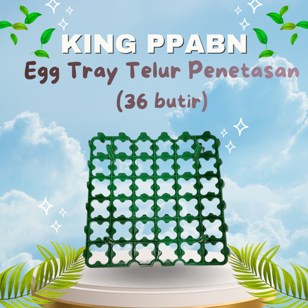 Egg Tray Telur Penetasan 36 Butir King PPABN – Rak Telur Mesin Tetas | Random