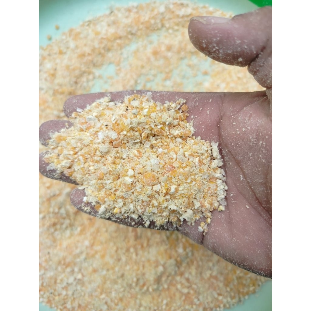 Jagung giling 1kg pakan ternak pakan ayam