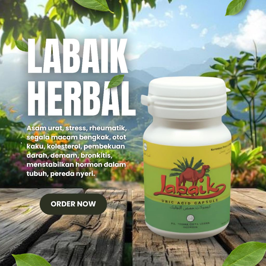 Labaik herbal original asam urat segala macam bengkak rheumatik kolesterol demam pereda nyeri susah 