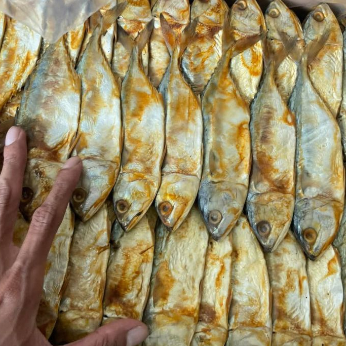 Ikan asin peda merah jumbo murah berkualitas