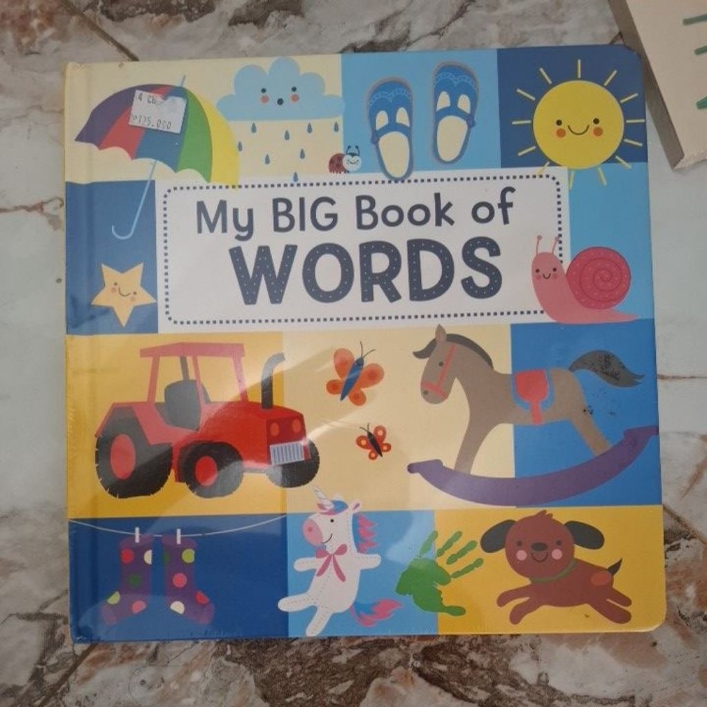 My Big Book of Words