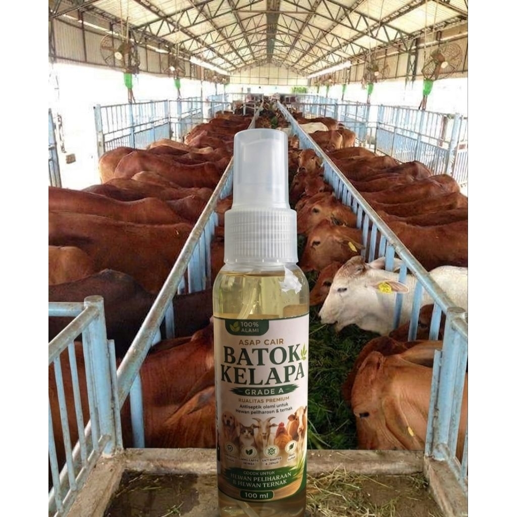 Obat PMK|Obat luka|Antiseptik Hewan Alami Asap Cair Batok Kelapa 100ml | Obat Luka Hewan Ternak & Pe