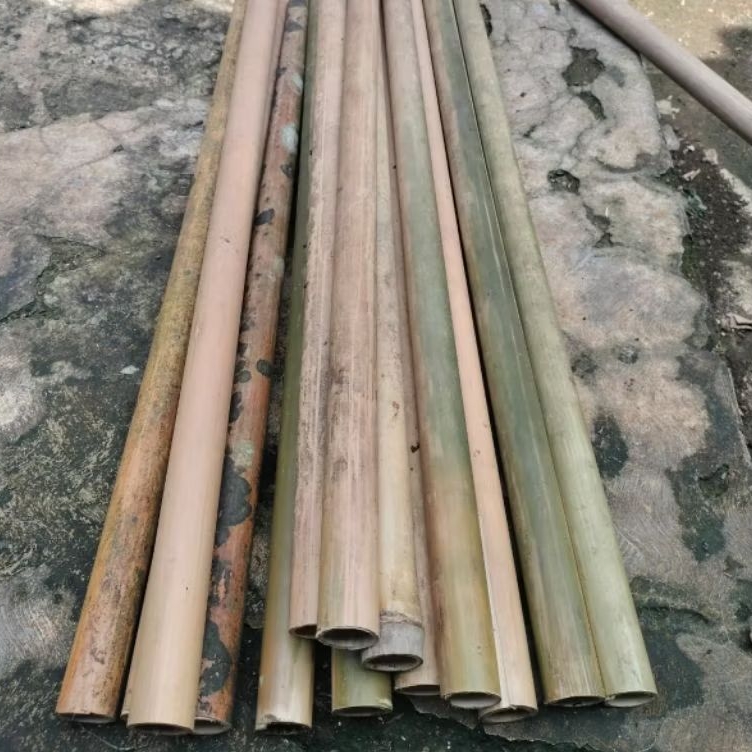 Bambu Tamiang Ruas Panjang Berkualitas 4 Pcs