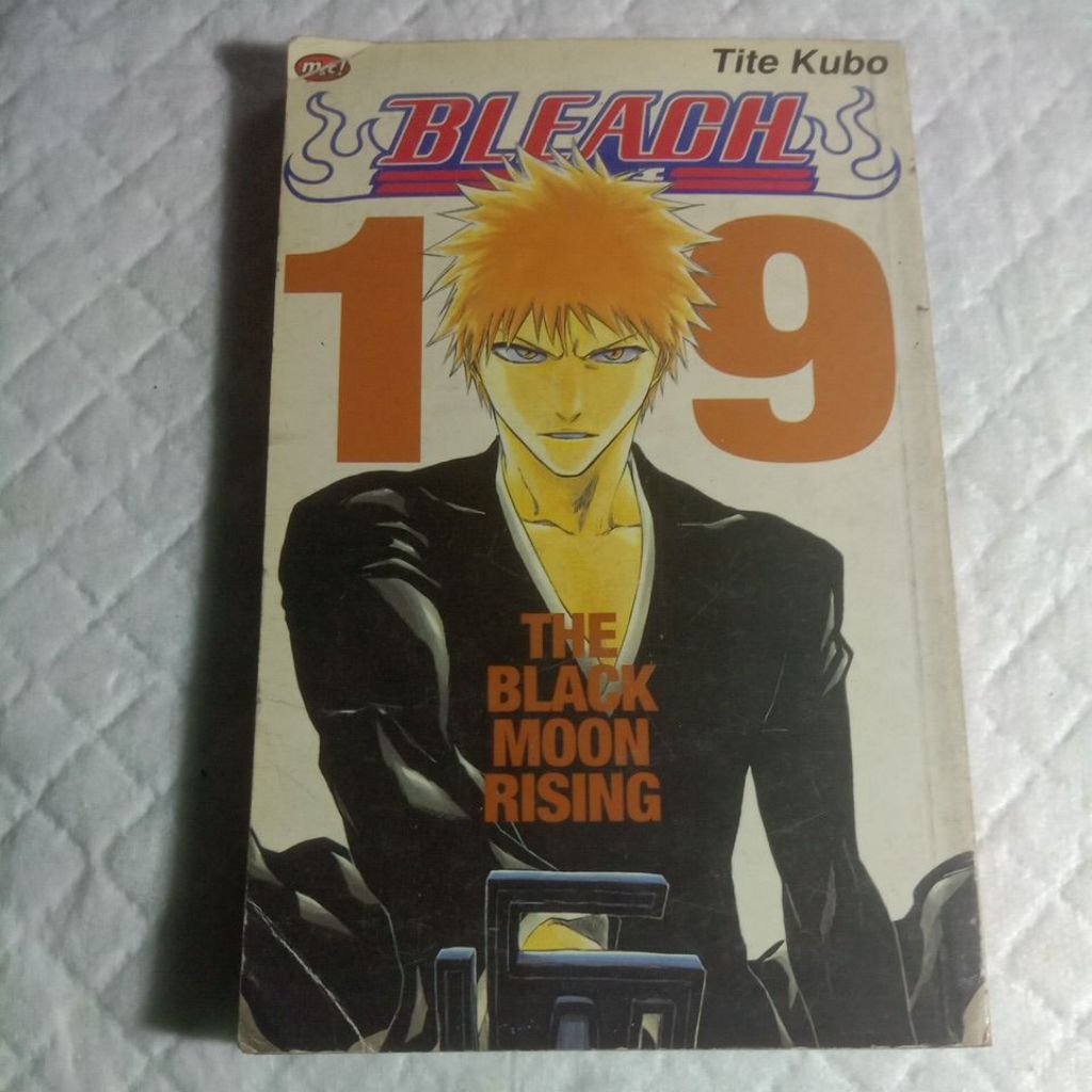BUKU KOMIK BLEACH 19