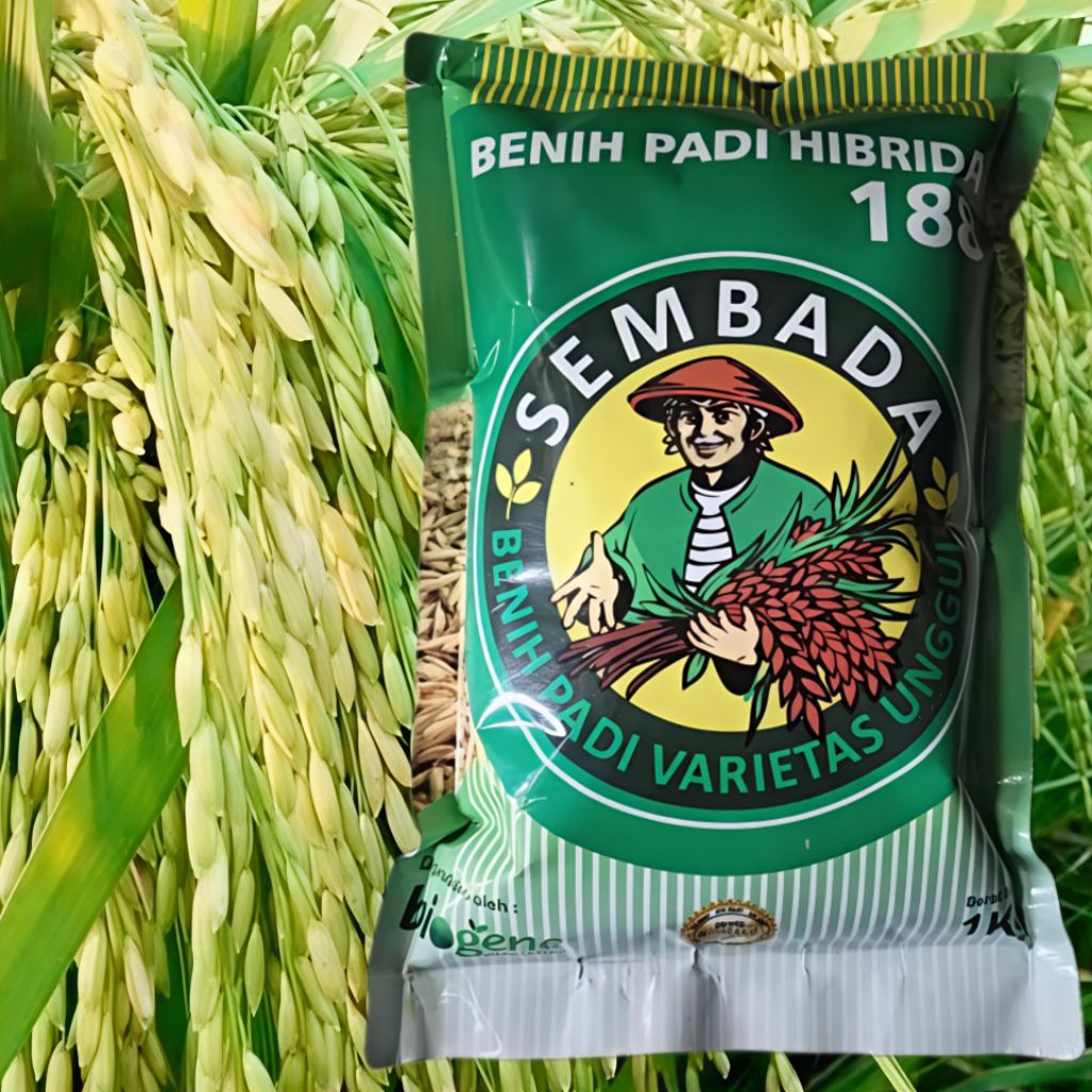 Benih Bibit Padi Hibrida Sembada 188 Original Berkualitas Unggul Kemasan 2 Bungkus 2kg