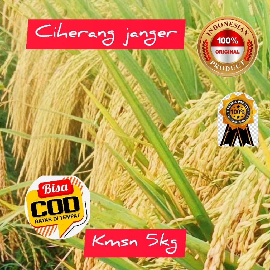 BENIH PADI SUPER UNGGUL CIHERANG JANGER KMSN 5KG