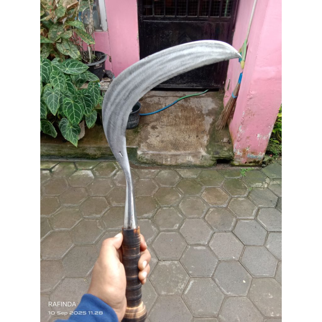 arit rumput baja