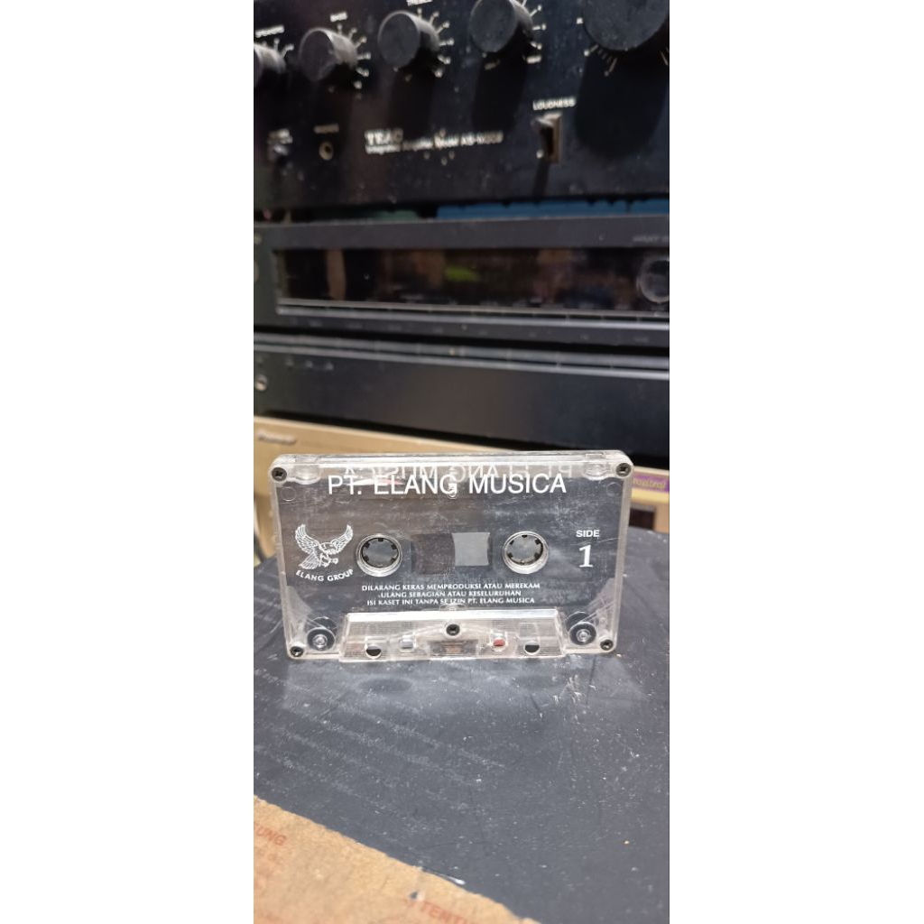 kaset pita Mario ( mandarin - indonesia)
